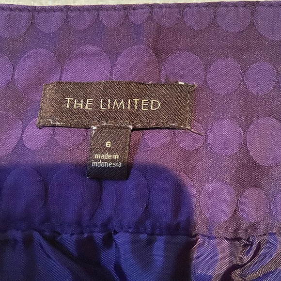 The Limited Polka Dot Skirt - Picture 3 of 9